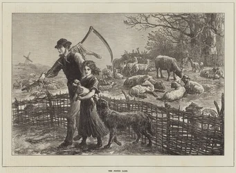 The Foster Lamb